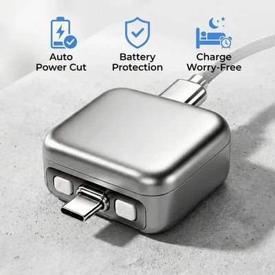 Smart Disconnect AI Charger